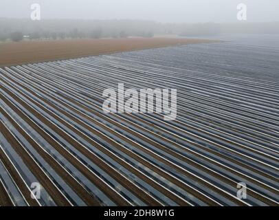Beelitz, Germany. 10th Dec, 2020. In foggy and cloudy winter weather, rows of asparagus covered with foil can be seen in a field (aerial view with a drone). Credit: Patrick Pleul/dpa-Zentralbild/ZB/dpa/Alamy Live News Stock Photo