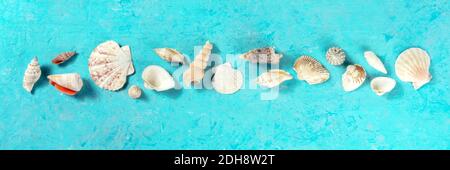 Sea shells panorama on a vibrant blue background Stock Photo