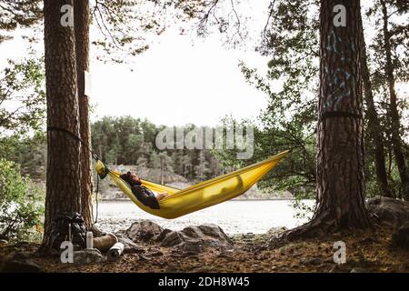 Young man with book sleeping in hammock in forest Stock Photo
