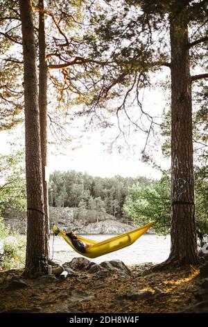 Young man sleeping in hammock in forest Stock Photo