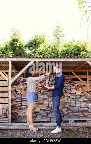 Side view of friends collecting stack of logs against shed Stock Photo