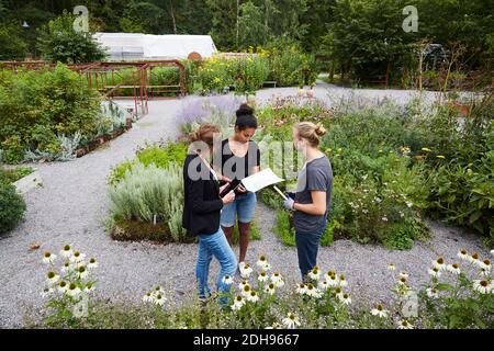 High angle view of architects communicating at community garden Stock Photo