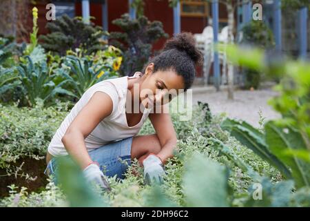 Woman analyzing plants at yard Stock Photo
