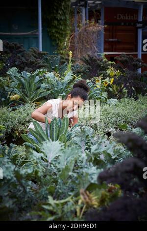 Young woman analyzing plants at yard Stock Photo