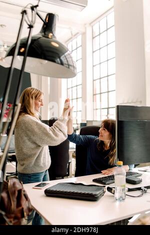 Smiling female colleagues giving high-five at workplace Stock Photo