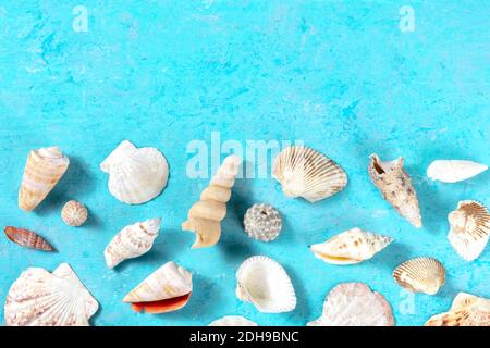 Ocean banner design template with a place for text, various sea shells, shot from the top on a blue background Stock Photo