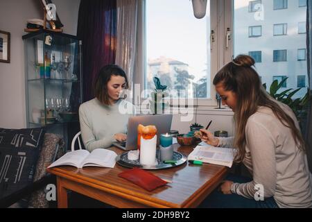 Young female students studying together in college dorm room Stock Photo
