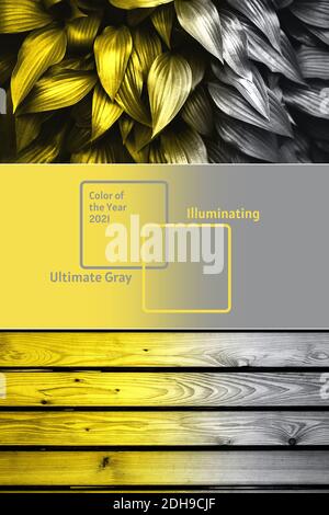 Collage demonstrating trendy colors 2021 - Gray and Yellow. Vertical edition for social media Stock Photo