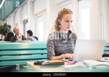 Serious female student using laptop in cafeteria Stock Photo