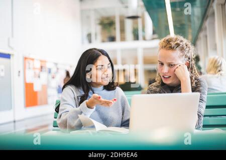 Young female students discussing while studying in cafeteria at university Stock Photo