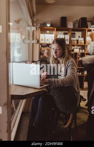 Young woman using laptop while sitting with boxer dog at cafe Stock Photo