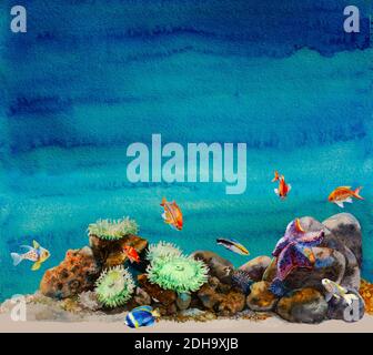 Watercolor sea bottom with anemones, urchins, different tropic fishes and sea star in a reef colorful underwater landscape background. Original illust Stock Photo