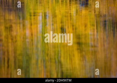 The cool autumn morning at the pond Stock Photo