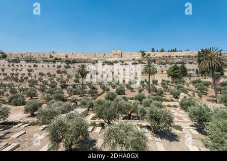 The Kidron Valley,  separating the Temple Mount from the Mount of Olives in Jerusalem, with Jewish graveyard and olive trees, and background of golden Stock Photo
