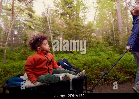 Mother pulling boy sitting on camping cart against trees in forest Stock Photo