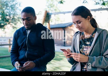 Young multi-ethnic friends using smart phones Stock Photo