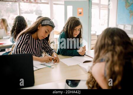 Female students studying at table in classroom Stock Photo