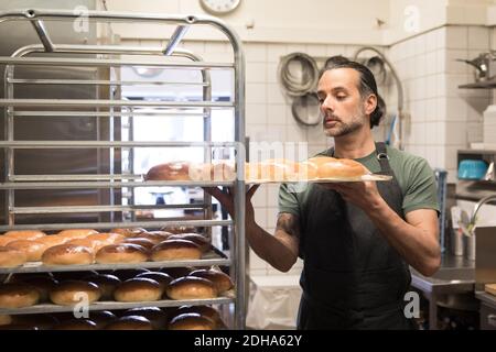 Confident mature male owner holding baking sheet with freshly baked breads on rack at bakery kitchen Stock Photo