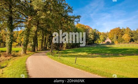 This tarmac road leads through green fields, dense forests and along farms located at the Tankenberg (near Oldenzaal) Stock Photo