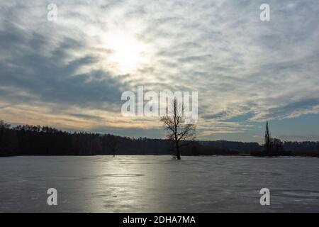 Frozen lake with a tree in the middle on a winter evening with blue and pink sky. Sun hiding behind grey clouds. Horizon with dark trees. Stock Photo