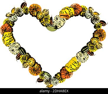 Autumnal card for thanksgiving or seasonal design with pumpkins. Stock Vector