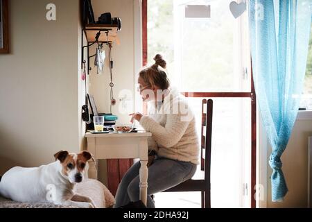 Disabled young woman using laptop at desk with dog in foreground at home Stock Photo