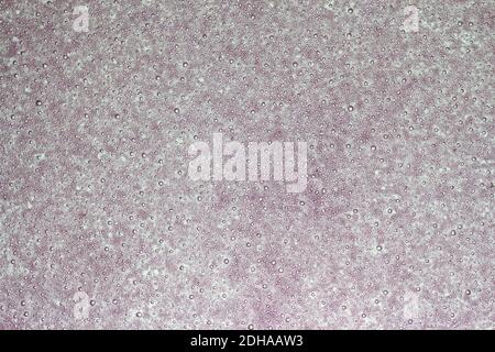 Air bubbles, background in the glass surface of pink and gray color. Stock Photo