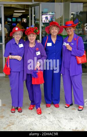 red hat purple dress society Southern Belle Red Hat Society Purple Dress Red Hat Heritage Mint