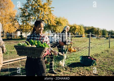 Smiling female farmer carrying basket of vegetables with friends in background at field Stock Photo