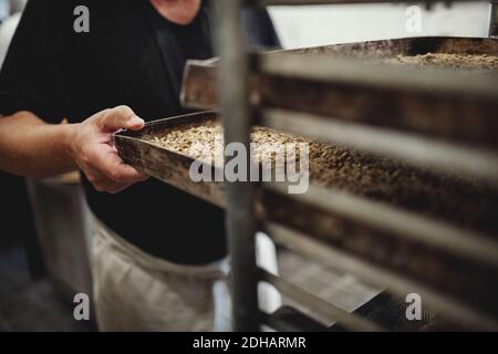 Midsection of male baker keeping fresh baked breads in tray on cooling rack at bakery Stock Photo