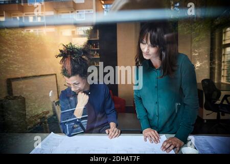 Female architects discussing over blueprint at table seen through glass in office Stock Photo