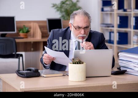 Old male employee working in the office Stock Photo