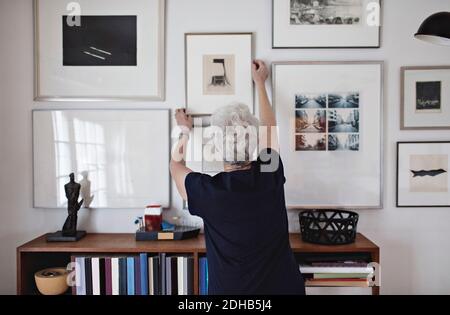 Rear view of retired senior woman adjusting picture frame on wall over bookshelf at home Stock Photo
