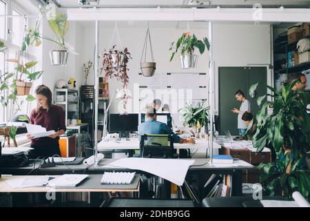 Male and female professionals working in creative office Stock Photo