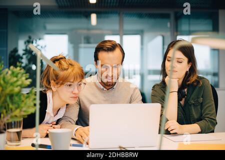 Female colleagues looking at businessman using laptop while sitting at desk in creative office Stock Photo