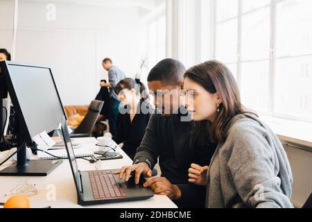 Focused software programmers coding on laptop while sitting in office Stock Photo
