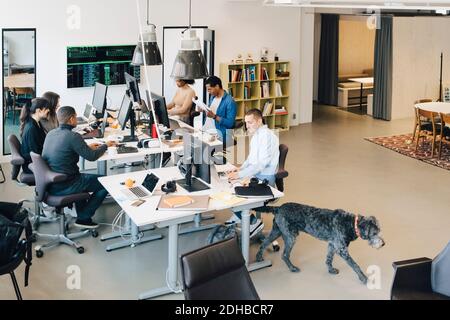 High angle view of male and female IT professionals working at desks in creative office Stock Photo