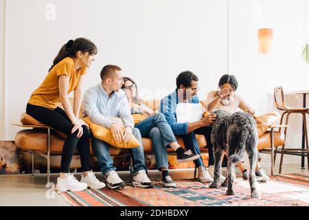 Happy programmers looking dog playing with colleague sitting on sofa in creative office Stock Photo