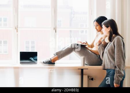 Computer programmers discussing over laptop while working by window in office Stock Photo