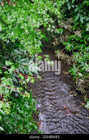 A vertical shot of stream along with greenery Stock Photo