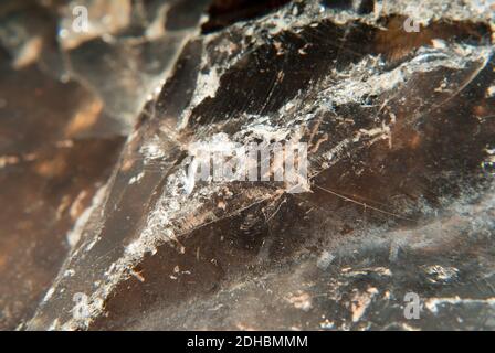a close up of broken obsidian used for stone age hand tools Stock Photo