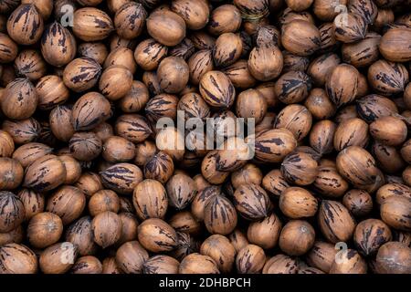 many pecan nuts in a box Stock Photo