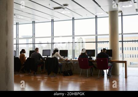Rear view of young male and female students using computers in university Stock Photo