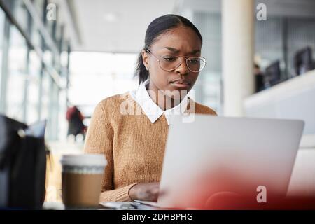 Serious young student using laptop while studying in university cafeteria Stock Photo