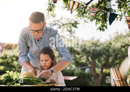 Grandfather teaching granddaughter to cut vegetable at table in backyard Stock Photo