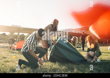Male and female friends making tent together on lawn during summer Stock Photo