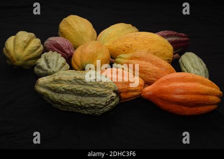Cocoa pods Stock Photo