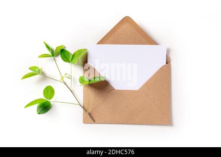 Green mail concept. A letter in a kraft envelope mockup, shot from the top with a green plant Stock Photo