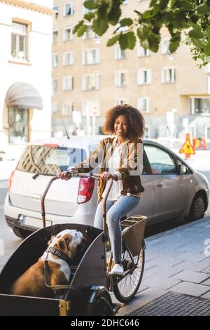 Full length of happy woman riding bicycle cart with bulldog on sidewalk by car in city Stock Photo
