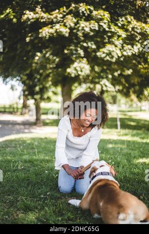 Smiling mid adult woman holding stick while playing with dog at park Stock Photo